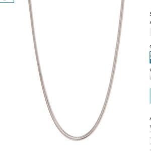 Nordstrom Rack Snake Chain Necklace